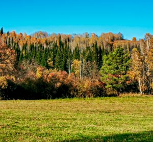 biysk_open_spaces-5